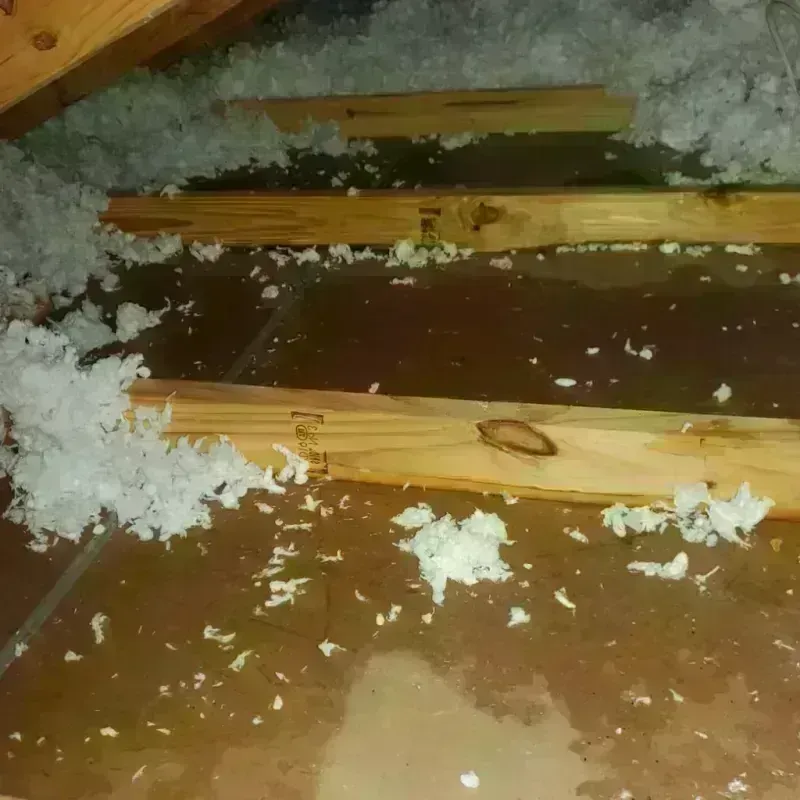 Attic Water Damage in Kingston, RI